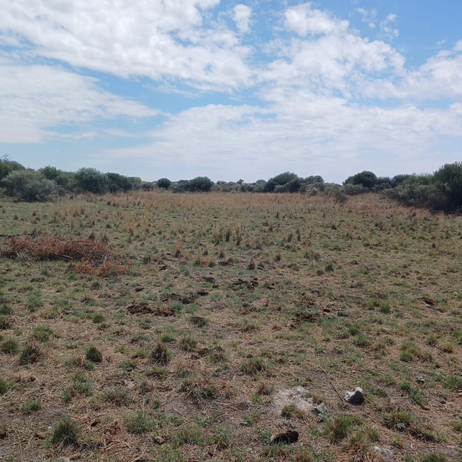 4 Bedroom Property for Sale in Barkly West Rural Northern Cape